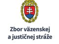 zvjs logo web